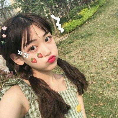 动物